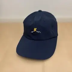 ノースフェイス 6パネル キャップ