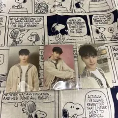 SEVENTEEN CARAT LAND ディノ トレカ