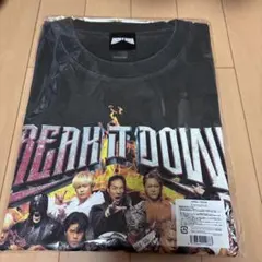 ランペ Tシャツ Lサイズ