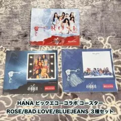 ビッグエコー　HANA コースター　全8種 飾れるコースター 飾れるコースター コースター　全8種 ビッグエコー　HANA