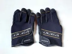 Item thumbnail for item 9a1a770e-f3ce-4235-bf47-98a60594d040