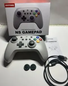 ECHTPOWER NS GAMEPAD コントローラー（背面ボタン付き）