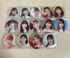 NiziU ミイヒ 缶バッジ　まとめ売り　　14点セット