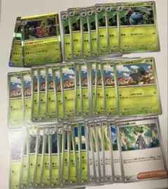 メガフシギバナexデッキパーツ