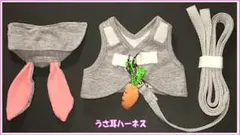 Item thumbnail for item 8c29d2d3-6ddf-450a-add1-40c8f62d51e8