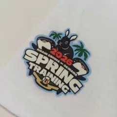 Item thumbnail for item a4a37b37-26f4-471f-9e22-8b0f4024a2c3