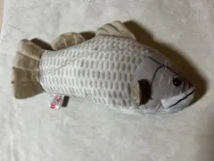 アカメ CUTE 魚 ぬいぐるみ くじ 4等