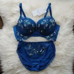 トリンプ　レッドレーベル　天使のブラ0119　定価11110円　008 E80L