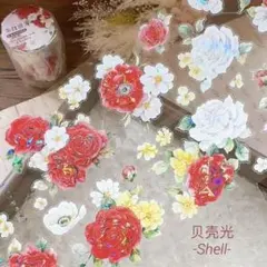 yi329s♦︎壹洱-朱白清芳 PET 贝壳光 1ループ 1m