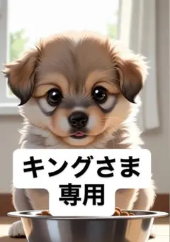 キングさま専用