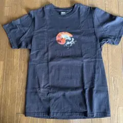 Stussy グラフィックプリント Tシャツ Mサイズ ブラック