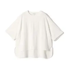 シップス　バック フリル Tシャツ アダムエロペ、ジャーナルスタンダード