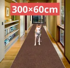 Item thumbnail for item f8dcb472-cbaf-44f4-875c-2d7dbba26a55