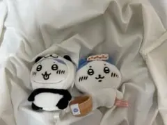 ハチワレ