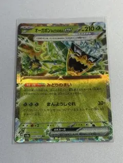 オーガポン みどりのめんex RR SV8a テラスタルフェスex 020/187