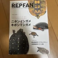 REP FAN : エキゾチックアニマルと仲よく暮らすための本 vol.13