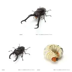 いきもの大図鑑シリーズ くわがた11 オンライン版 3種類セット