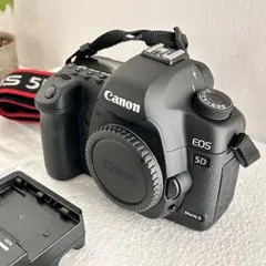 良品2374ショット】Canon eos 6D markII 2 ボディ 本体 - メルカリ