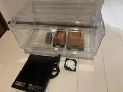 爬虫類　レオパ　育成セットのサムネイル