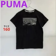 PUMA 半袖Tシャツ キッズ 160cm☆シンプル☆ビッグロゴ☆スポーツ☆
