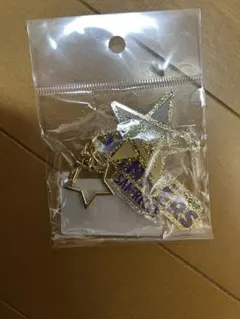 サンフレッチェ広島2025 JリーグYBCルヴァンカップ優勝アクリルキーホルダー