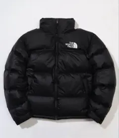 THE NORTH FACE 1966 ECO NUPTSE DOWN