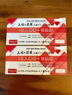 2026年最新】岩原の人気アイテム - メルカリ