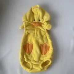 Item thumbnail for item ccd611ec-fbe5-480e-a11d-9fbd219c3404