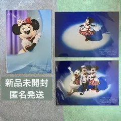 イマジニングザマジック ミニー フォト 写真 実写 ベリミニ ミッキー ドナルド