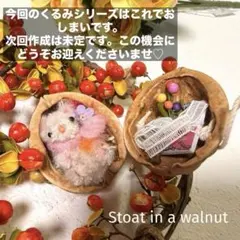 ハンドメイド　くるみの中におこじょちゃんNo.018