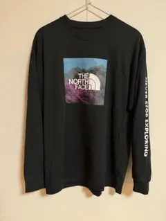 THE NORTH FACE 黒 ロングTシャツ M