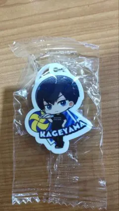 ハイキュー くら寿司 ビッくらポン めじるしチャーム 影山