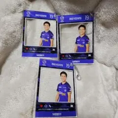 Item thumbnail for item 7b3b5028-9fd9-429d-9400-8db912c33b90