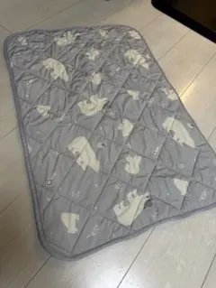ペット冷感ニトリ敷パッドのサムネイル