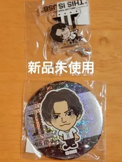 【新品未使用】登坂広臣　三代目JSB　缶バッジ＆ぶらさがりチャームの2点セット