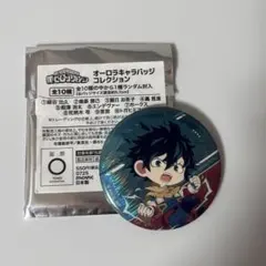 ヒロアカ デク オーロラ缶バッジ