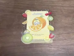 JOCHUM 硬質ケース もこ