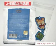 セブチ ミニティーン MINITEEN HOLIDAY ラキドロ シャスミ