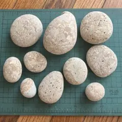 糸魚川　薬石　大サイズ　中サイズ　まとめ売り　1112g