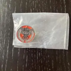 S様専用　ハイキュー　烏野　ピンバッジ