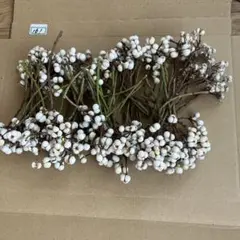 ナンキンハゼの実80本(161