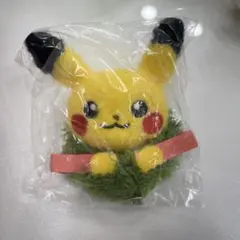 韓国限定　ポケモン　ポップアップ　マスコット　ヘアピン　セット　ピカチュウ 韓国限定 ポケモン POPUP ピカチュウ キーホルダー ヘアピン セット
