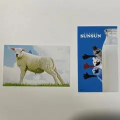 PUPPET SUNSUN パペットスンスン　スマロイド