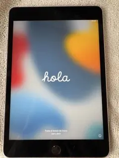 Apple iPadmini4 本体のサムネイル