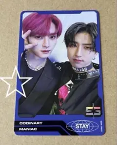 straykids oddinary ユニットトレカ　リノ　ハンジソン