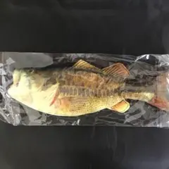 Item thumbnail for item 64d7c731-3bdd-49f9-ab3f-0607703f8479