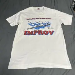 90s フルーツオブザルーム シングルステッチ 目玉 グロTシャツ