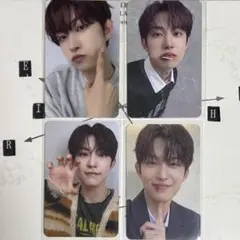 ALPHA DRIVE ONE ALD1 トレカ ゴヌセット⑤