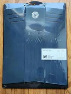 Item thumbnail for item 6d9d9905-65fc-4bf9-b16a-3e33af358d5b