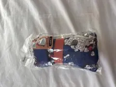 Item thumbnail for item e311c93e-ae82-4dd1-aea6-156888c3b48c